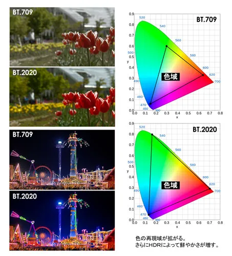 Adobe RGB vs. sRGB: какой профиль лучше для вашей печатной продукции? 7 adobe rgb vs srgb kakoy profil luchshe dlya vashey pechatnoy produktsii