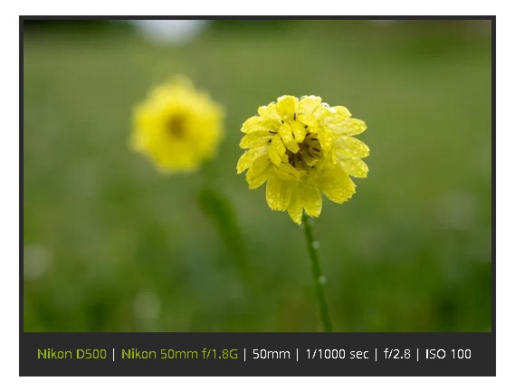 avtomatizatsiya tsvetokorrektsii v lightroom sekrety professionalov