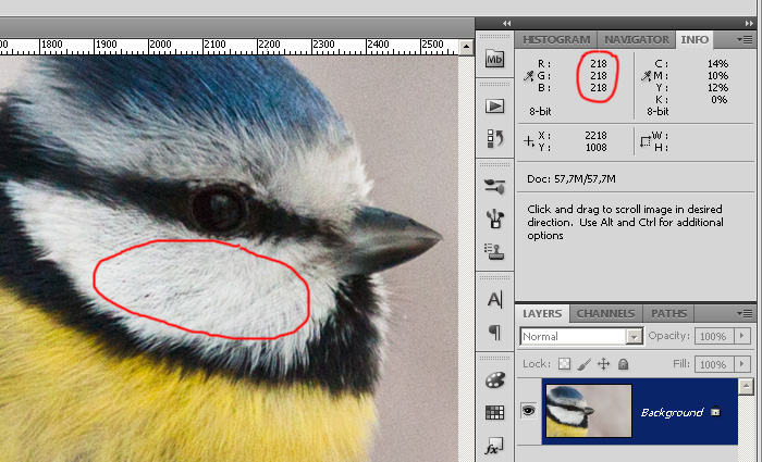 bystraya korrektsiya tsveta v photoshop sekrety balansa belogo