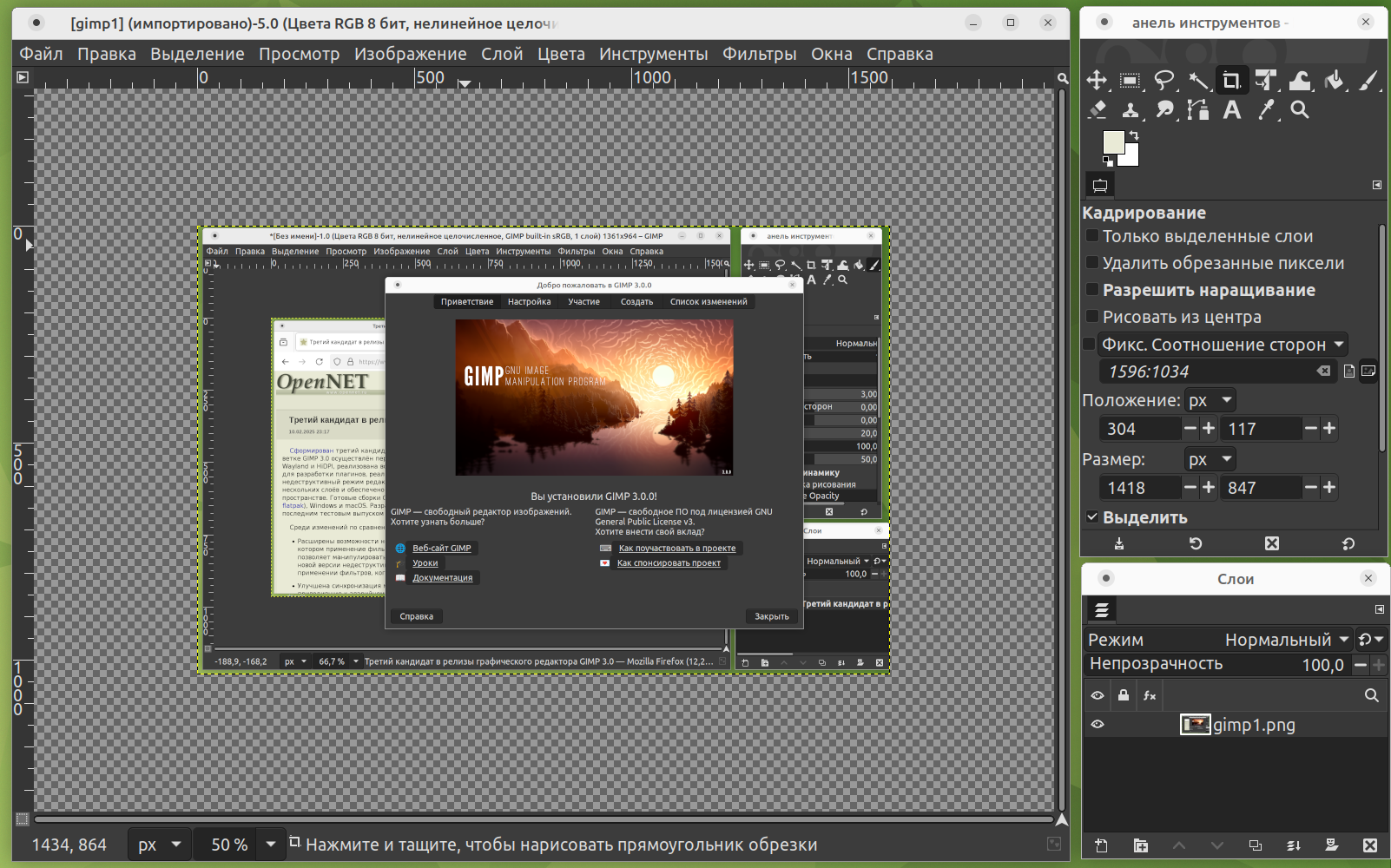 gimp dlya professionalnoy grafiki vozmozhnosti i ogranicheniya