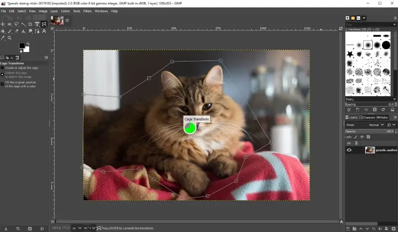 kak ispolzovat gimp dlya redaktirovaniya fotografiy