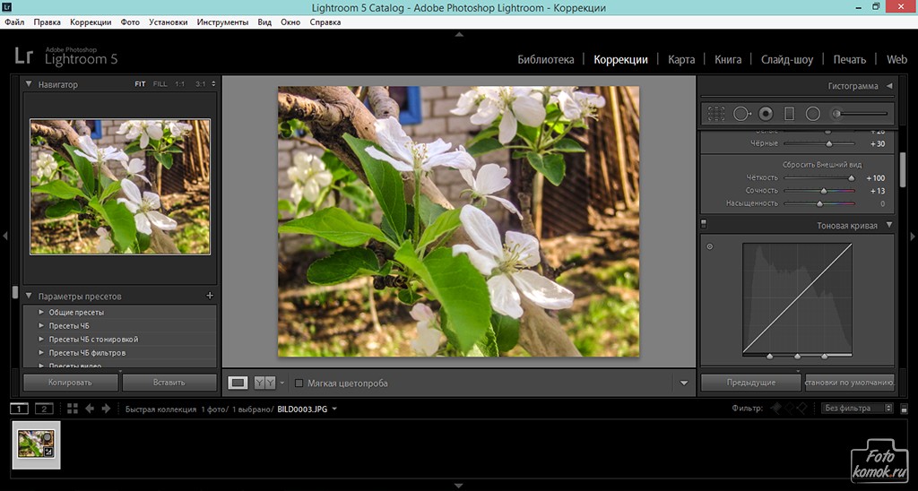 lightroom ili photoshop sravnenie skorosti raboty i proizvoditelnosti
