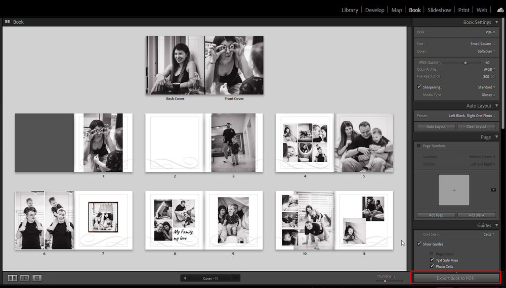 prodvinutye instrumenty retushi sravnenie vozmozhnostey lightroom i photoshop 1