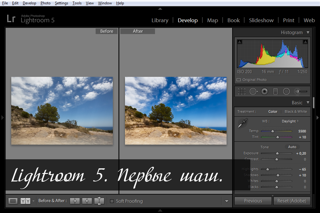 redaktirovanie portretov lightroom ili photoshop chto vybrat
