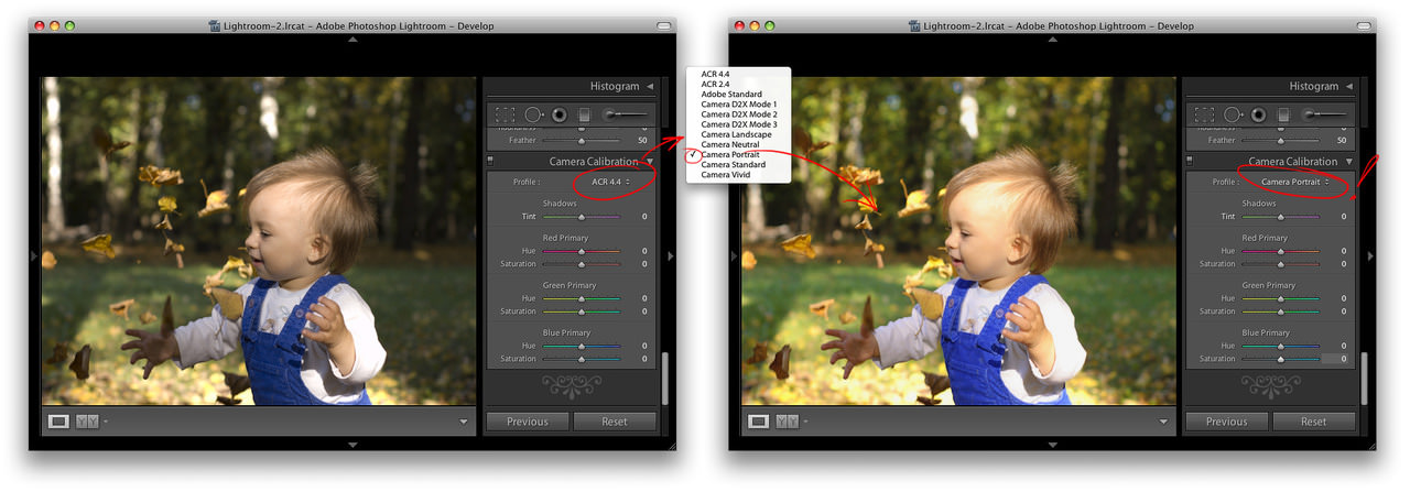 reshenie problem s proizvoditelnostyu pri rabote s krupnymi katalogami v lightroom