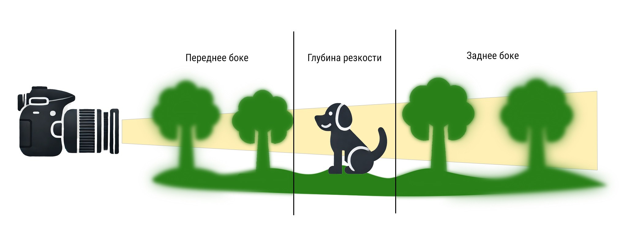 rezkost i chetkost kak dobitsya idealnogo rezultata