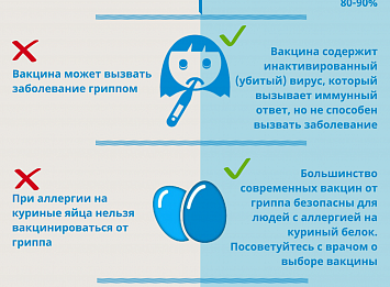 sekrety sozdaniya virusnoy infografiki