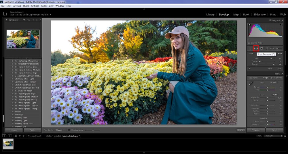 sozdanie kollazhey lightroom ili photoshop kto pobedit