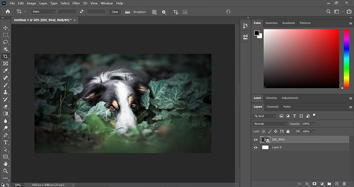 sravnitelnyy analiz gimp i adobe photoshop preimuschestva i nedostatki